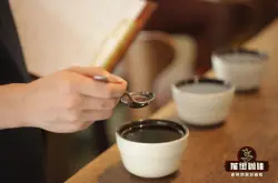 曼特宁咖啡豆的风味特点是什么？手冲曼特宁该如何冲煮才好喝？