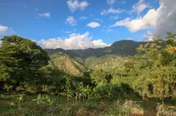 世界上最贵的咖啡牙买加蓝山咖啡有什么特点？蓝山咖啡庄园介绍