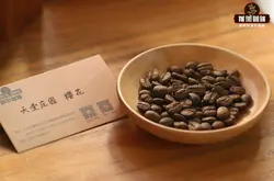 哥伦比亚慧兰咖啡风味特点介绍 哥伦比亚咖啡产地品种等级分类