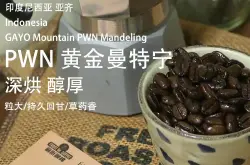 哪个牌子的印尼曼特宁咖啡豆好 曼特宁咖啡豆哪个品牌质量好推荐