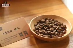 哥伦比亚天堂庄园咖啡豆风味特点故事 双重厌氧发酵咖啡特点