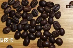铁皮卡咖啡豆的故事与特点有哪些 铁皮卡咖啡品种属于阿拉比卡吗