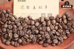 巴西喜拉多产区波旁咖啡介绍 巴西波旁咖啡豆风味特点故事