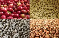 咖啡豆-南美洲地区主要生产国