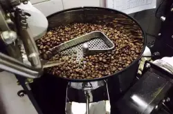 咖啡豆在烘焙过程中是属于什么属性？