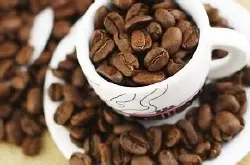 详细讲解优质的尼加拉瓜咖啡豆