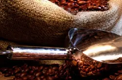 从好的咖啡豆开启咖啡浪漫之旅