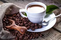 埃尔萨咖啡庄园-哥斯达黎加咖啡的精品之路