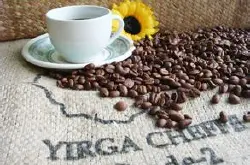 埃塞俄比亚的耶加雪菲 最新咖啡行情 最新咖啡资讯