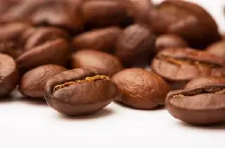 咖啡豆里主要含有的营养与成分有哪些？
