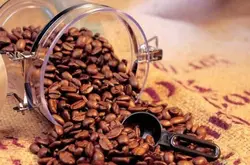 如何辨别咖啡豆的新鲜度与保管方式