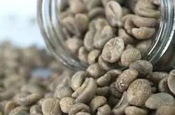 精品咖啡生豆传播历史及最新信息介绍