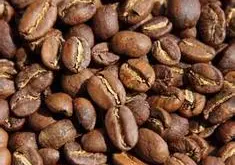 精品咖啡豆-埃塞俄比亚耶加雪菲的详情介绍