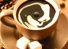 印度尼西亚麝香猫咖啡 世界上最贵的咖啡之一