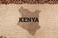 优质肯尼亚咖啡 最新咖啡介绍 水果风味肯尼亚咖啡