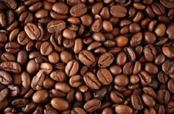 精品咖啡豆：尼加拉瓜柠檬树庄园爪哇长粒豆种介绍