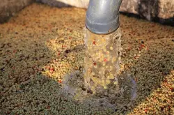 咖啡生豆处理方法;水洗法的详细介绍