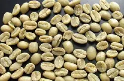 精品咖啡豆：阿拉比卡咖啡发源于埃塞俄比亚