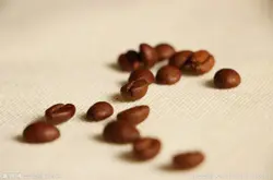 精品咖啡豆：中美洲著名的咖啡豆的分类口感的介绍