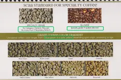 SCAA pecialty Coffee精品咖啡生豆的标准 做一杯好咖啡的必备