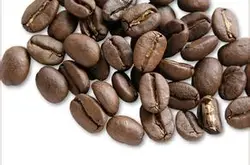 精品咖啡爪哇咖啡豆 最新风味详情