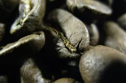 精品咖啡豆：烧炭精品咖啡豆的烘焙介绍