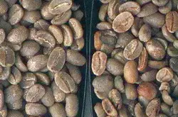 精品咖啡豆：好咖啡豆应该具备的四大标准