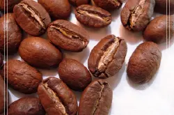 咖啡豆介绍：精选水洗皇家罗布斯塔咖啡豆