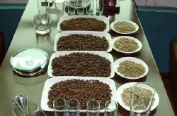 咖啡操作技术：cupping 咖啡杯测的意义讲解