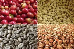 世界精品咖啡豆：十六种不同产地咖啡豆介绍