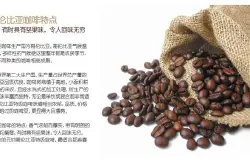 精品咖啡豆：介绍哥伦比亚产区及咖啡豆的详情