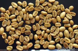 精品咖啡豆：埃塞俄比亚哈拉尔摩卡咖啡豆(Ethiopian Harar mocha