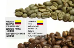 精品咖啡豆：哥伦比亚慧兰 Huila 瓦伦西亚咖啡的介绍