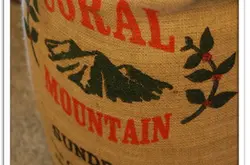 精品咖啡豆：哥斯达黎加 珊瑚山 的介绍