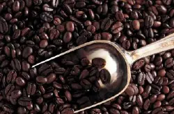 埃塞俄比亚精品咖啡 耶加雪菲Yirgacheffe咖啡最新信息