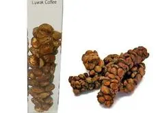 麝香猫咖啡 精品咖啡豆 麝香猫咖啡最新资讯