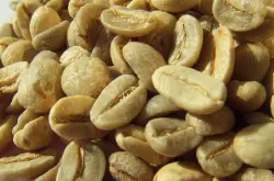 世界精品咖啡豆：巴西黄波邦 淡淡的香甜味