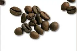 爪哇咖啡 精品咖啡豆 最新简介