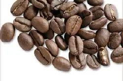 精品咖啡生豆 爪哇咖啡最新介绍