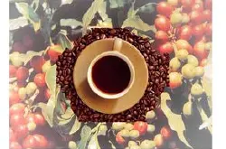 精品咖啡豆 埃塞俄比亚精品咖啡 最新介绍