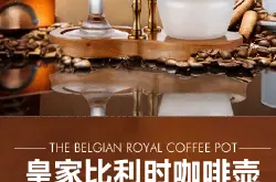 咖啡冲煮器具介绍：帝国F-2013B皇家比利时咖啡壶 酒精灯虹吸式
