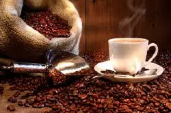 阿里山玛翡咖啡 优质精品咖啡 精品咖啡豆最新介绍