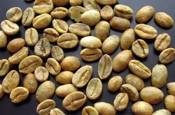 世界精品咖啡豆介绍;埃塞俄比亚（衣索比亚）摩卡咖啡生豆