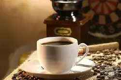 乞力马扎罗精品咖啡 优质咖啡豆最新介绍