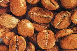 咖啡豆处理方式烘焙技术技巧：咖啡豆烘焙度简介介绍