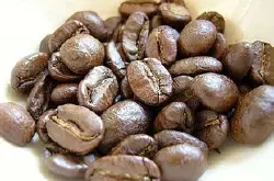 麝香猫咖啡世界上最贵的咖啡之一 印度尼西亚咖啡 猫屎咖啡
