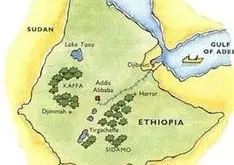 精品咖啡庄园介绍：哈拉产区埃塞俄比亚最重要的日晒豆产区