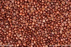 咖啡豆的形状各异分类：何谓平豆、圆豆、象豆？