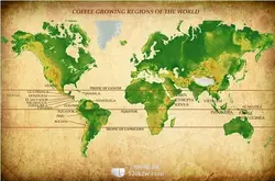精品咖啡庄园：全球咖啡产区美洲篇详细介绍各种类咖啡豆No.1