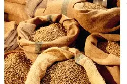 世界精品咖啡庄园豆：印尼苏门答腊曼特宁 浓郁的醇度活泼的动感